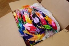 KODAK Digital Still Camera