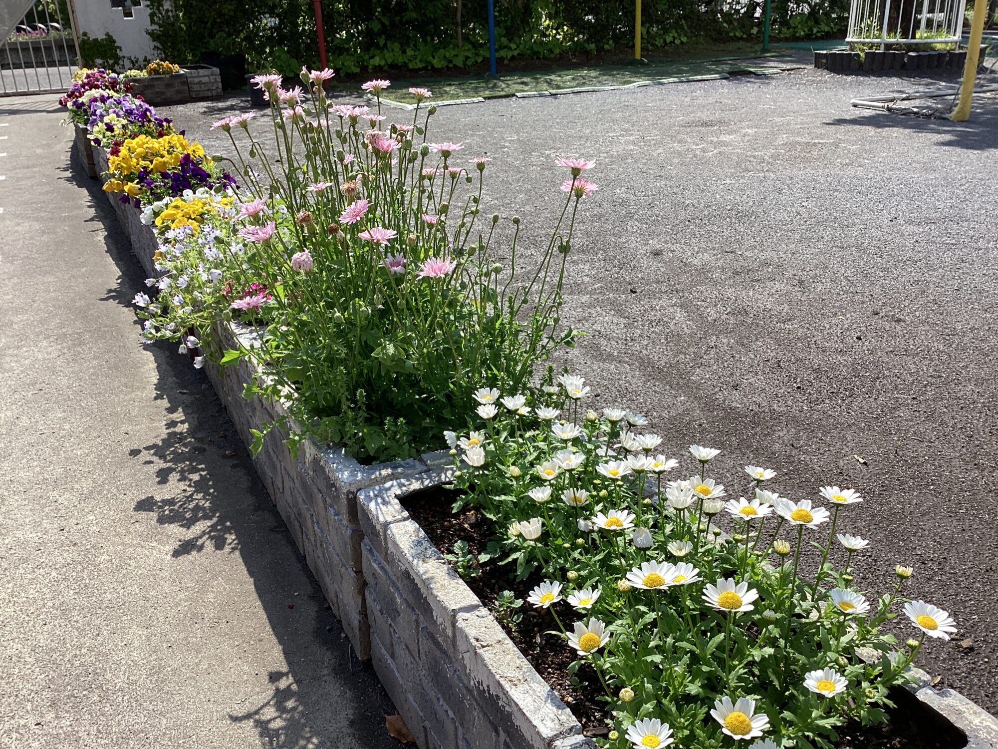 こども誰でも通園事業