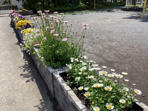 こども誰でも通園事業